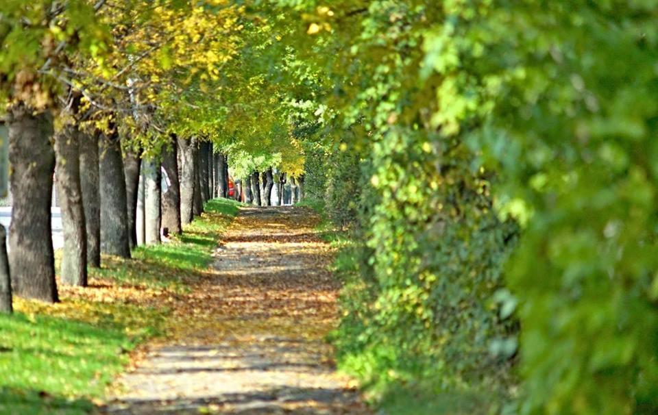 Бутиков Хотел History Haskovo Exteriér fotografie